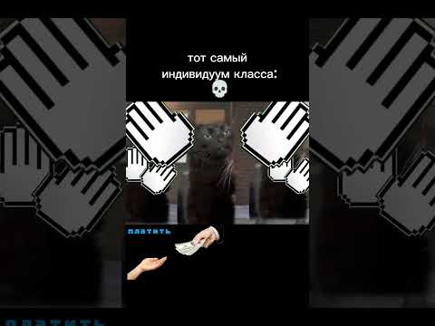 Пов: тот самый индивидуум класса... 💀#cats #memes #shorts