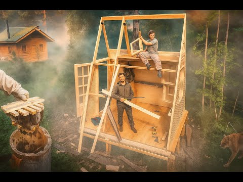 We Caught Wild Bees While Building Our Forest Cabin | Off-Grid Life Begins
