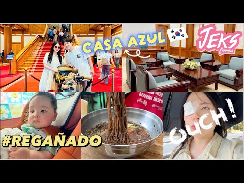 Tuvimos suerte y visitamos la casa del presidente de Corea | Tuve una cirugía(?) en el ojo 😭 #vlog