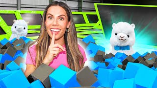 EXTREME HIDE & SEEK… in a TRAMPOLINE PARK?!