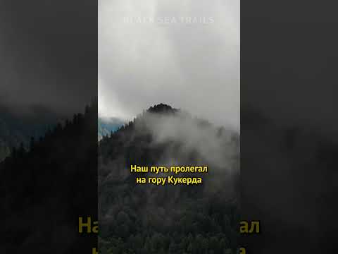 Горный велосипед и медведи! Велопокатушки. МТБ. MTB #shorts