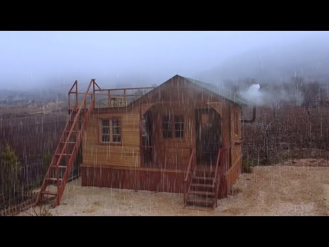 Rainy Night in the Wooden House with My Dog