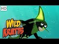 Creature Powers and Strategies in Nature