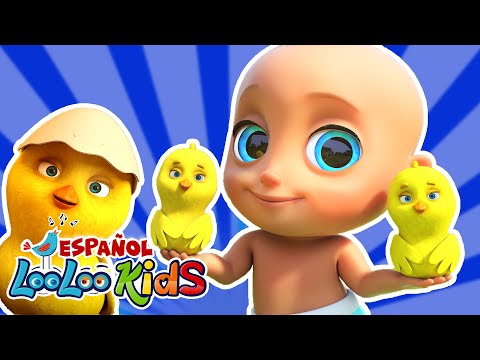 🐥Los Pollitos Dicen Pio Pio + La Vaca Lola - Canciones Infantiles para niños - looloo kids español