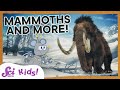 Exploring Prehistoric and Modern Animals