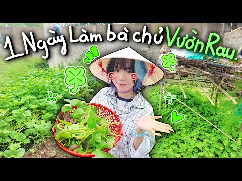Mình 1 Ngày Làm Bà Trùm Nông Sản Vườn Rau Tại HUẾ 🥬