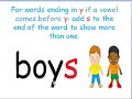 Plural Forms of Words Ending in Y