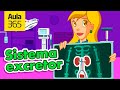 Conceptos sobre Agua y Metabolismo