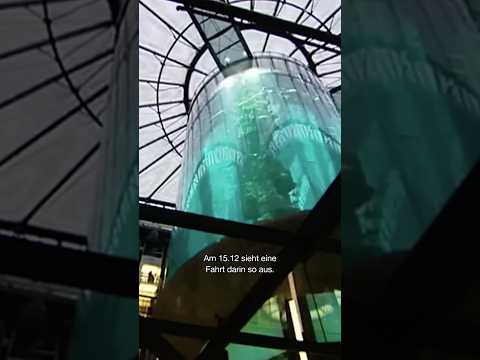 Was wenige wissen: Das Glas des AquaDoms kam aus den USA, kein europäisches Werk konnte es fertigen.