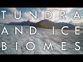 Exploring the Tundra and Ice Biomes
