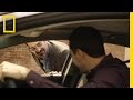 Future of Ride Sharing and Autonomous Vehicles