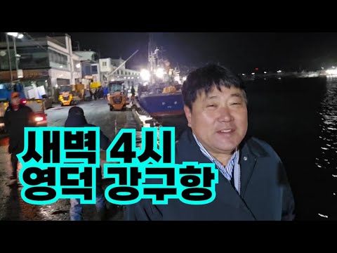 새벽 4시 영덕 강구항! 어부 양준혁 2번째 방문기!