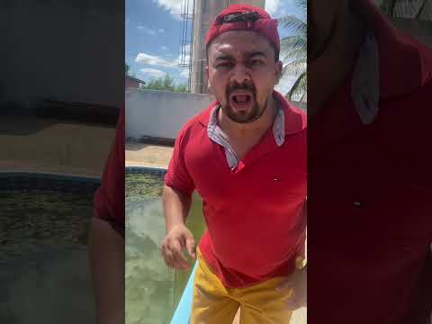 Cobra gigante na água! #youtubeshorts #humor #comedia #risada #rir #comedy #risadaria #funnycomedy