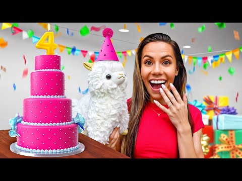 LLAMABEANS DREAM 4th BIRTHDAY! *SURPRISE*