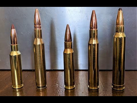 Best 5.56 Deer Hunting Ammunition - 09/2021