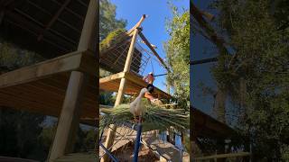 DECORATING MY BUNGALOW