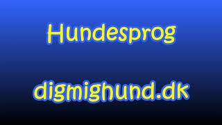 Hundesprog