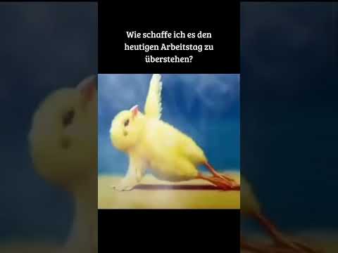 Der Arbeitstag #arbeit #tag #funny #funnyshorts #lustigevideos #lachen #lustigevideos #lustig