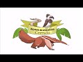Cerrado: Bioma e Características