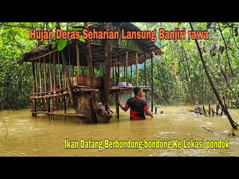 HUJAN DERAS SEHARIAN LANSUNG BANJIRI RAWA, IKAN TERPERANGKAP DI BAWAH PONDOK