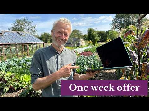 Super Homesteading Bargain until 18th September