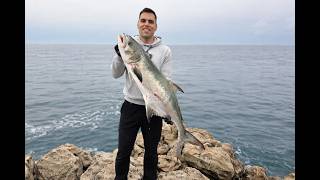 SHORE JIGGING BIG LEERFISH ( LECCIA AMIA , LICA ) ON JIG 100G