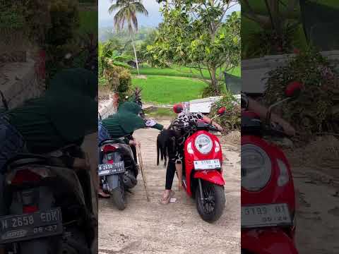 Bukan untung malah buntung#short