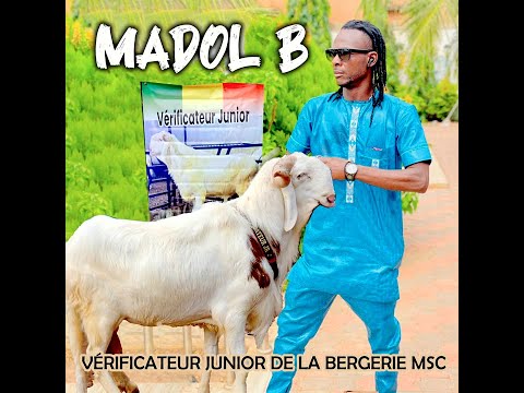 Madol B - Vérificateur Junior De La Bergerie MSC (Officiel 2025)