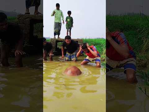 ki ata #super #funny #tending #YouTube #shorts #viralvideo