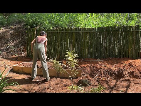 Construindo uma horta no meu quintal