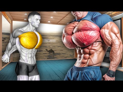 6 Fastest Huge Chest Exercises for Newbie