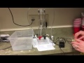Hydrogen and Oxygen Gas Tests