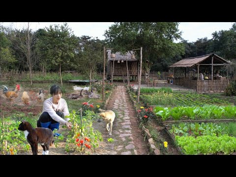 Happy Life on the Mountain: Gardening, Harvesting, Cooking, and Animal Care