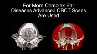 Endoscopic Ear Evaluation in Dogs & Cats