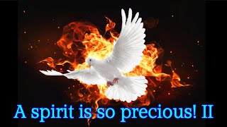 A spirit is so precious! II