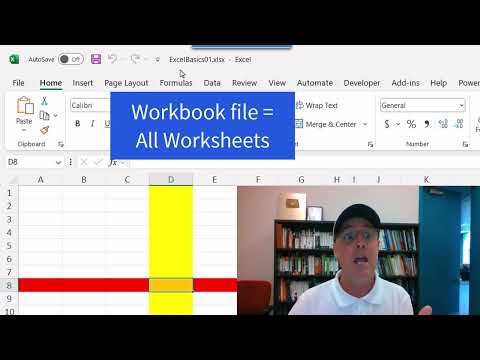 MS 365 Excel Basics #1 What is Excel?, Formulas, Functions, Formatting, Cell References & Page Setup