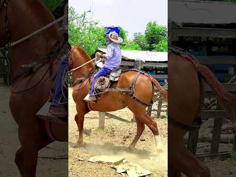 ESTE NIÑO NACIÓ PARA SER UN BUEN JINETE