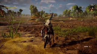 Assassin's Creed Origins - Nature's Way Papyrus Location / Solution in Kanopos Nome