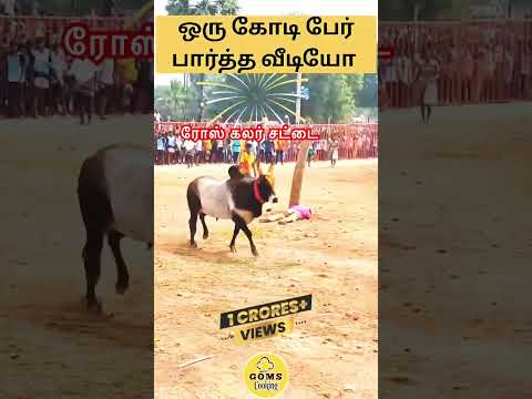 ஒருகோடி பேர் பார்த்து ரசித்த காணொளி #ஆத்தூர்  #jallikattu #jallikattu2025 veeran mandiyita tharunam
