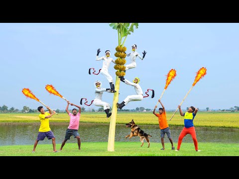 Monkey Funny Game Comedy 2024 😎 New Banana Tree Climbing Game Comedy 😂 Amazing Game Video EP 375