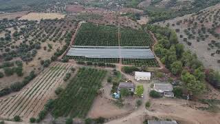 Azienda agricola Armentano Lorenzo