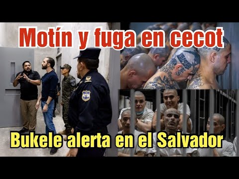 motín y fuga de pandilleros en cárcel de nayib bukele en el Salvador