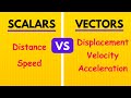 Understanding Velocity and Scalars