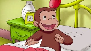 Como os Animais Hibernam? 🐵 George, o Curioso 🐵 Desenhos Animados