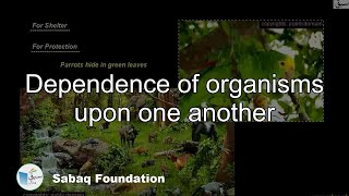 Dependence of organisms upon one another