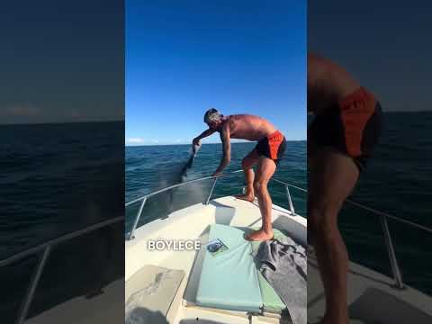 Adam köpeğiyle son kez “yüzdü” #shorts