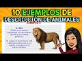 Animal Adaptations and Characteristics