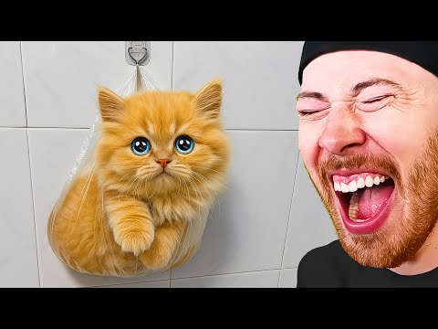 FUNNIEST Animals in the World!