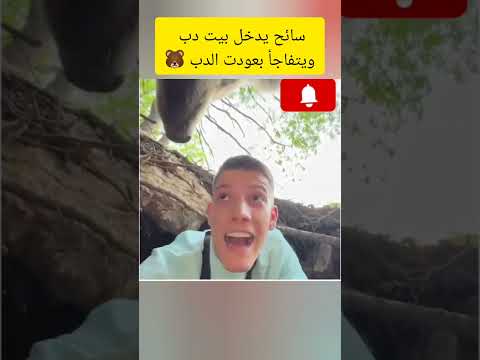 الدب منصدم ان العشا وصله للبيت 😂