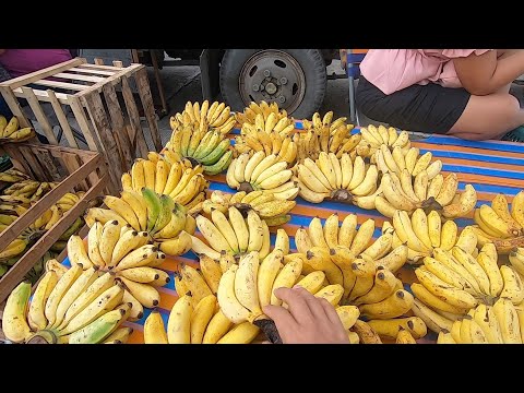 Special Types of Bananas In The Philippines